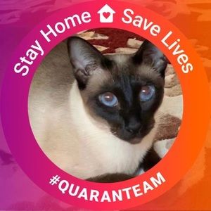 Meet your Posher, Monalisa